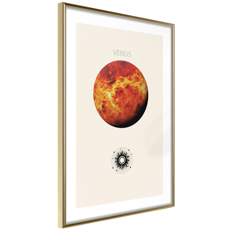 Poster Shining Venus - The Brightest Planet in the Solar System 146313 additionalImage 8