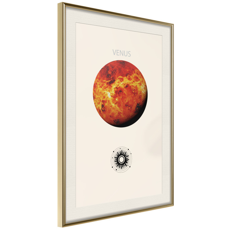 Poster Shining Venus - The Brightest Planet in the Solar System 146313 additionalImage 4