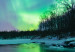 Canvas Print Aurora - Light Effects in the Midnight Night Sky 147713 additionalThumb 4