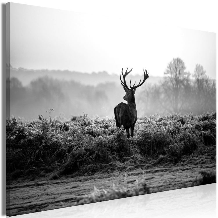 Large canvas print Deer in the Wild [Large Format] 149113 additionalImage 2