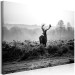 Large canvas print Deer in the Wild [Large Format] 149113 additionalThumb 2