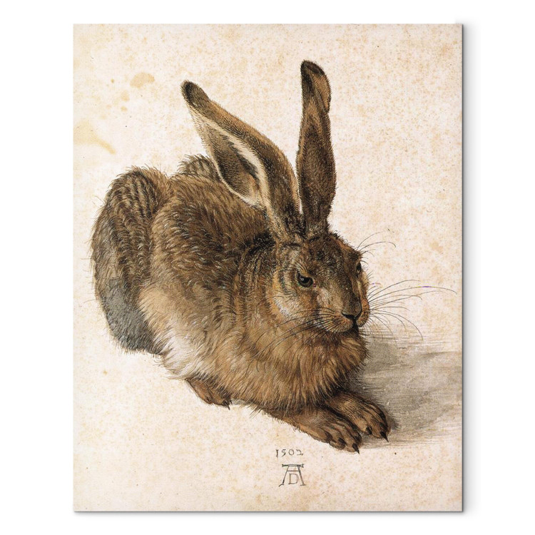 Art Reproduction Young Hare 150513