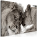 Large canvas print Lion Love [Large Format] 150613 additionalThumb 2