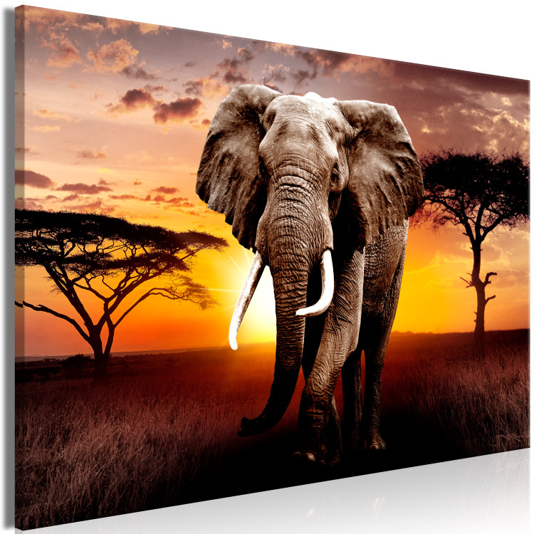 Large canvas print Sunset on the Savanna [Large Format] 150813 additionalImage 2