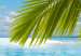 Canvas Art Print Paradise island 50013 additionalThumb 5