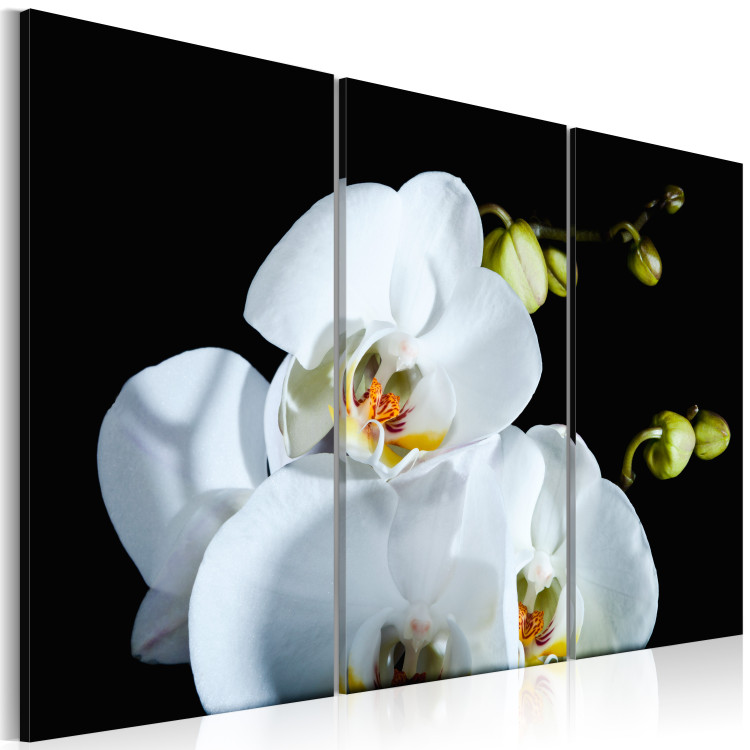 Canvas Art Print Snowy orchid 58713 additionalImage 2