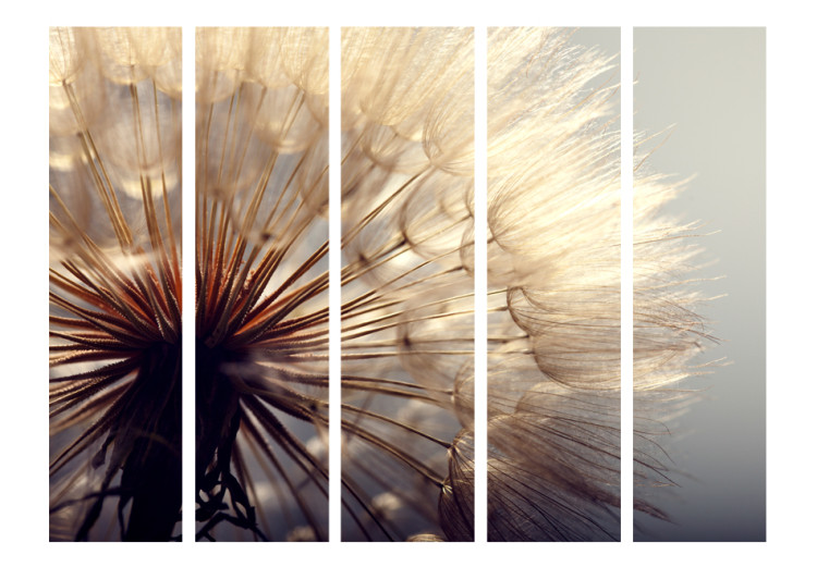 Room Separator Dandelion's Kiss II - romantic plant in colorful sunlight 95513 additionalImage 3