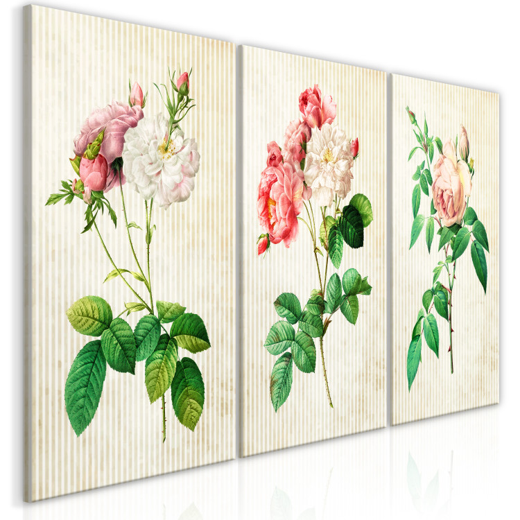 Canvas Print Floral Trio (Collection) 117323 additionalImage 2