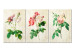 Canvas Print Floral Trio (Collection) 117323