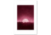 Canvas Art Print Full moon - the night sky over a dense forest in shades of red 117523