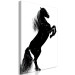 Canvas Black Horse (1 Part) Vertical 118823 additionalThumb 2