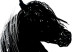 Canvas Black Horse (1 Part) Vertical 118823 additionalThumb 5