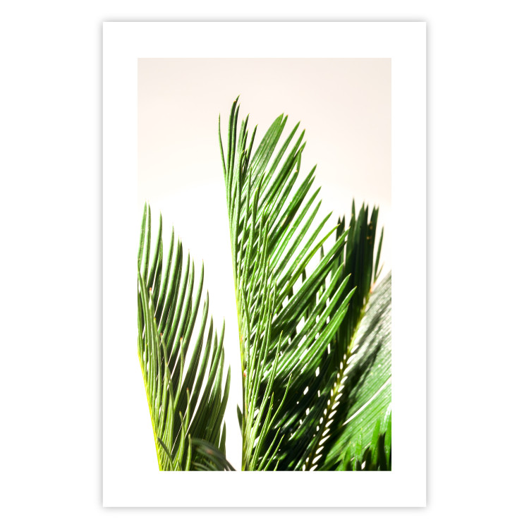 Wall Poster Plant Detail - botanical composition with green leaves on a light background 119023 additionalImage 25