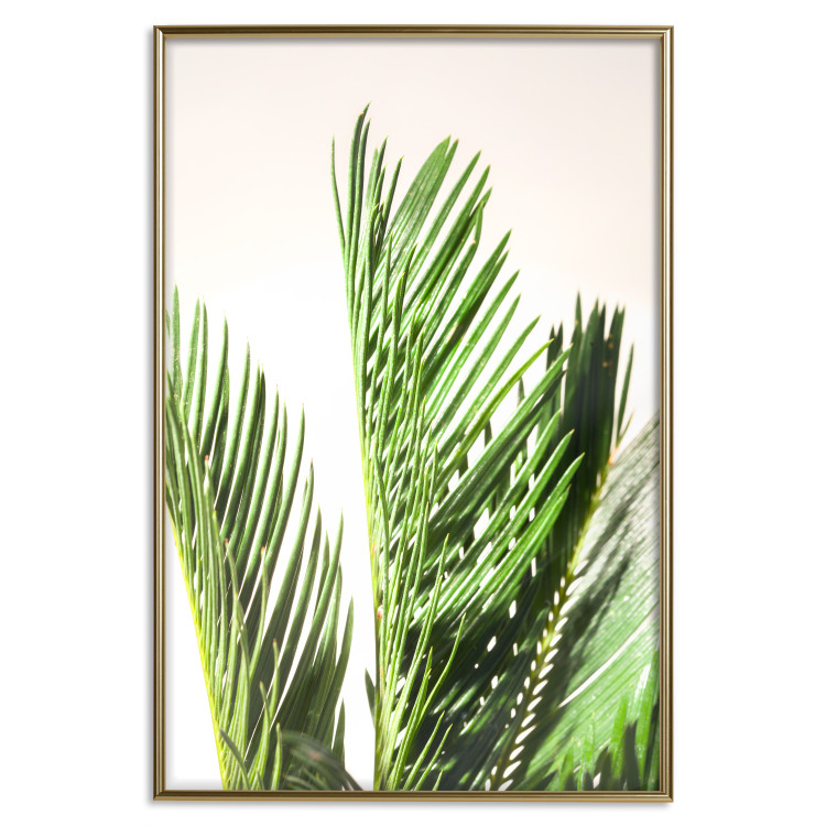 Wall Poster Plant Detail - botanical composition with green leaves on a light background 119023 additionalImage 16