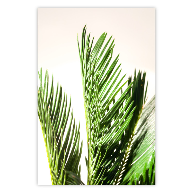 Wall Poster Plant Detail - botanical composition with green leaves on a light background 119023