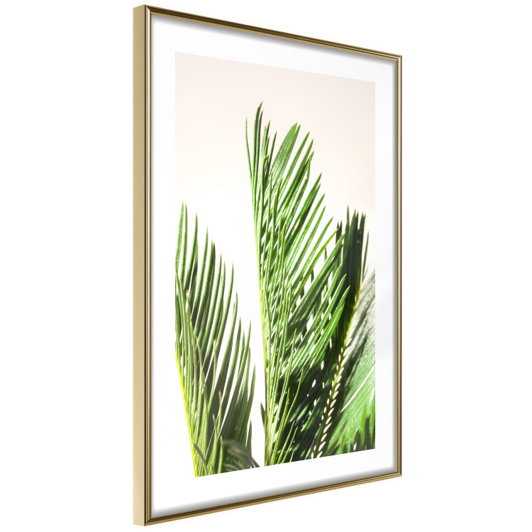 Wall Poster Plant Detail - botanical composition with green leaves on a light background 119023 additionalImage 6