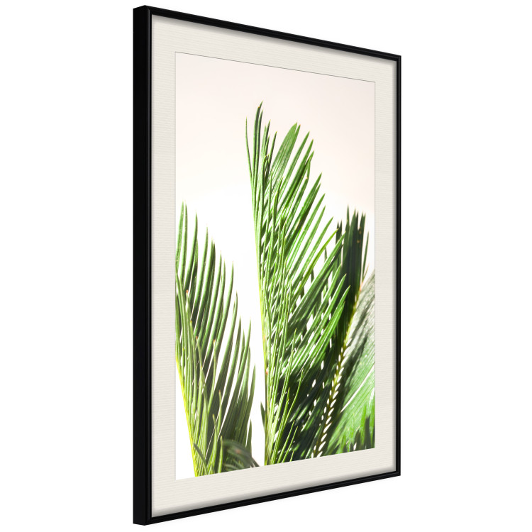 Wall Poster Plant Detail - botanical composition with green leaves on a light background 119023 additionalImage 3