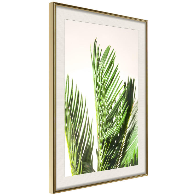Wall Poster Plant Detail - botanical composition with green leaves on a light background 119023 additionalImage 2