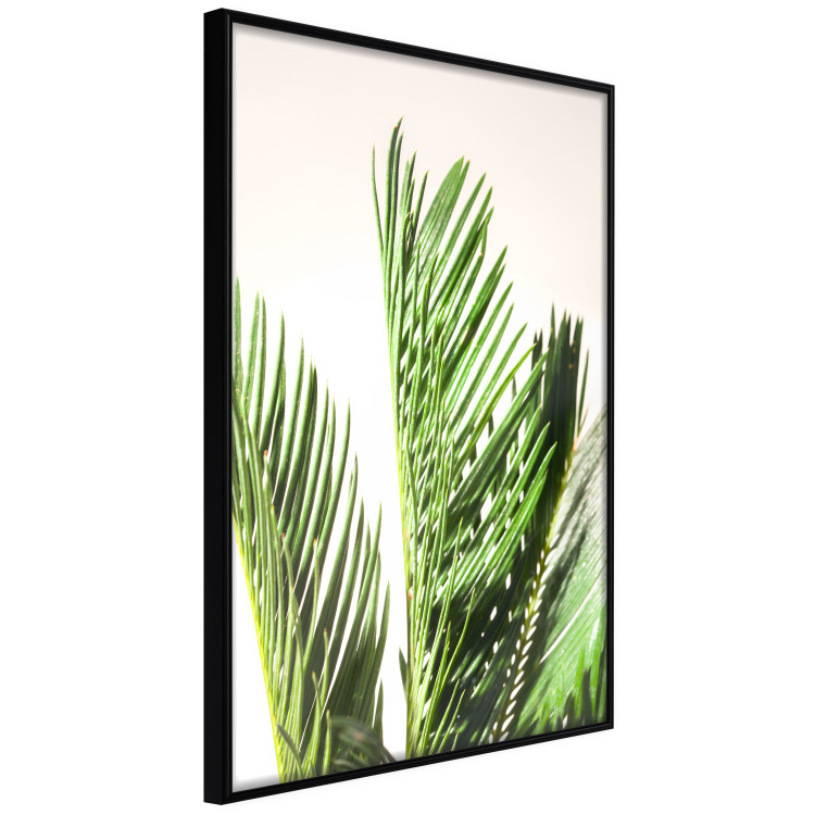 Wall Poster Plant Detail - botanical composition with green leaves on a light background 119023 additionalImage 12