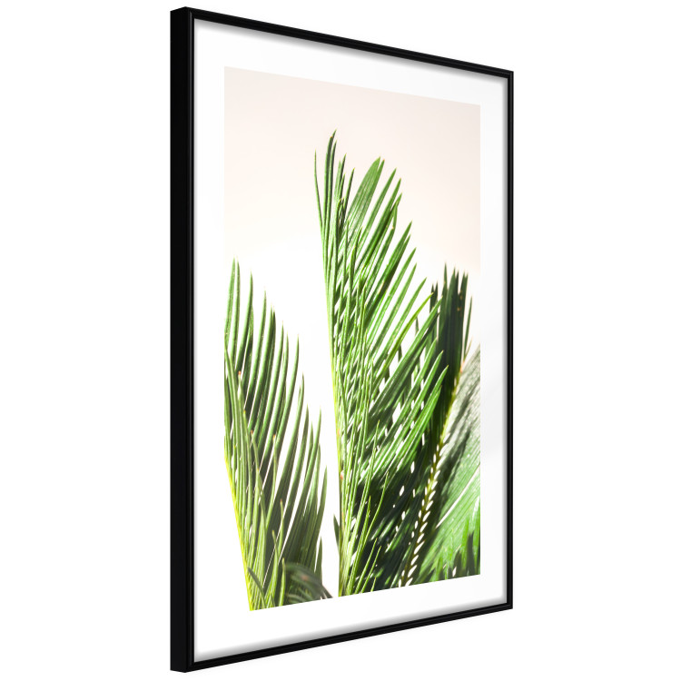 Wall Poster Plant Detail - botanical composition with green leaves on a light background 119023 additionalImage 13