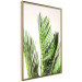 Wall Poster Plant Detail - botanical composition with green leaves on a light background 119023 additionalThumb 12