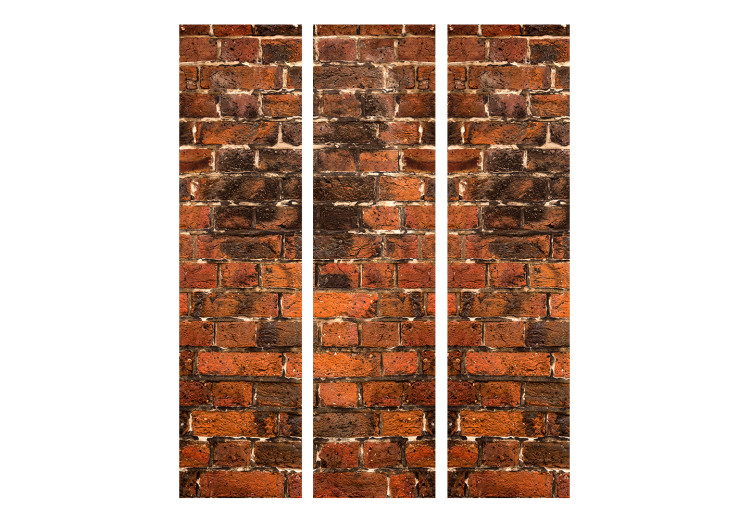 Room Divider Brick Shadow - texture of orange bricks with dark spots 123023 additionalImage 3