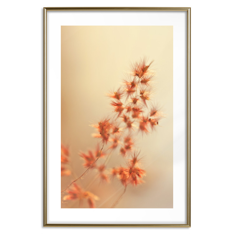 Poster Fiery Grass - plant with orange flowers on gradient background 123823 additionalImage 14