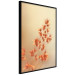 Poster Fiery Grass - plant with orange flowers on gradient background 123823 additionalThumb 10