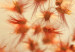 Poster Fiery Grass - plant with orange flowers on gradient background 123823 additionalThumb 9