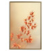Poster Fiery Grass - plant with orange flowers on gradient background 123823 additionalThumb 16