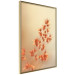 Poster Fiery Grass - plant with orange flowers on gradient background 123823 additionalThumb 12