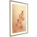 Poster Fiery Grass - plant with orange flowers on gradient background 123823 additionalThumb 6