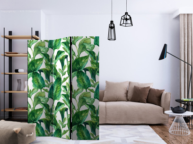 Room Separator Tropical Paradise (3-piece) - green exotic plants and white background 124323 additionalImage 4