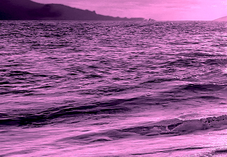 Canvas Print Enchanted Ocean (1 Part) Wide Violet 125023 additionalImage 4