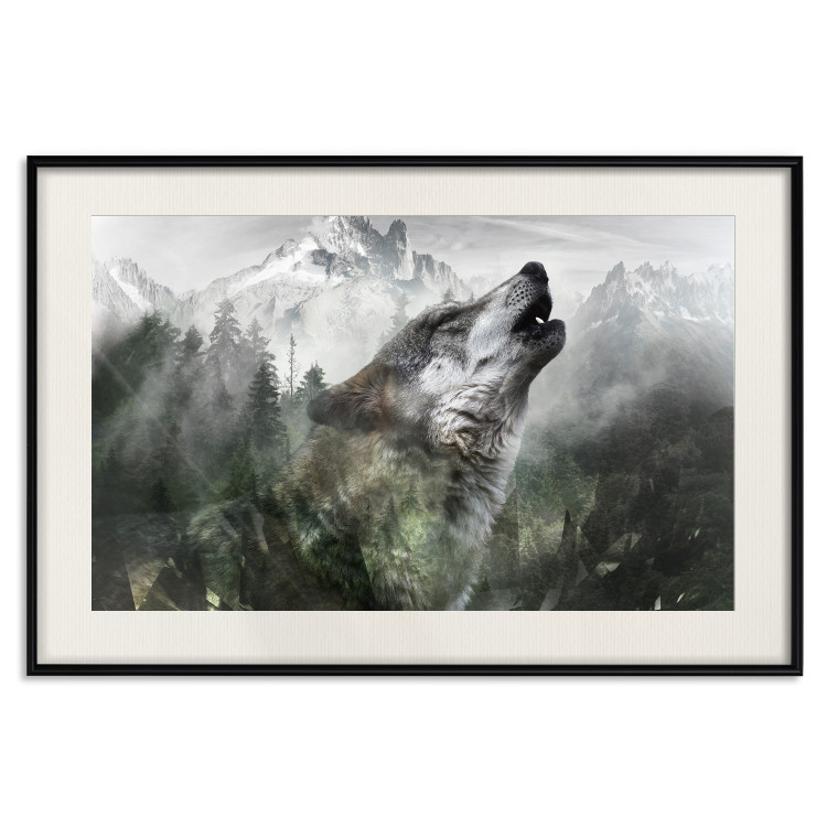 Poster Howling Wolf - wild animal against a forest landscape and high mountains 126023 additionalImage 24