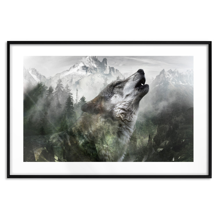 Poster Howling Wolf - wild animal against a forest landscape and high mountains 126023 additionalImage 25
