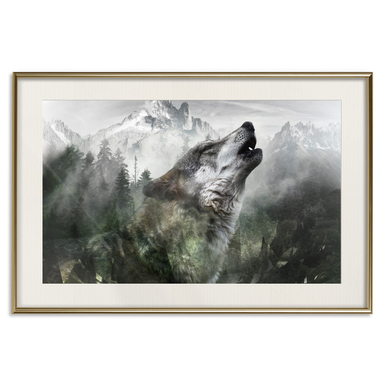 Poster Howling Wolf - wild animal against a forest landscape and high mountains 126023 additionalImage 23