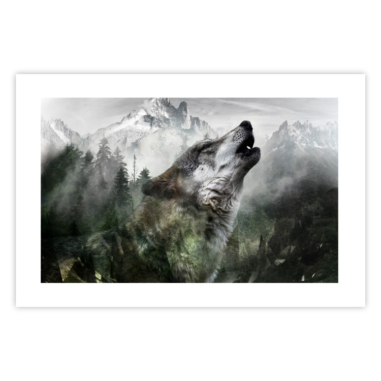 Poster Howling Wolf - wild animal against a forest landscape and high mountains 126023 additionalImage 18