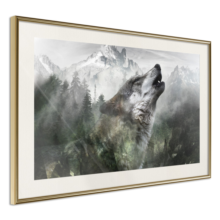 Poster Howling Wolf - wild animal against a forest landscape and high mountains 126023 additionalImage 2