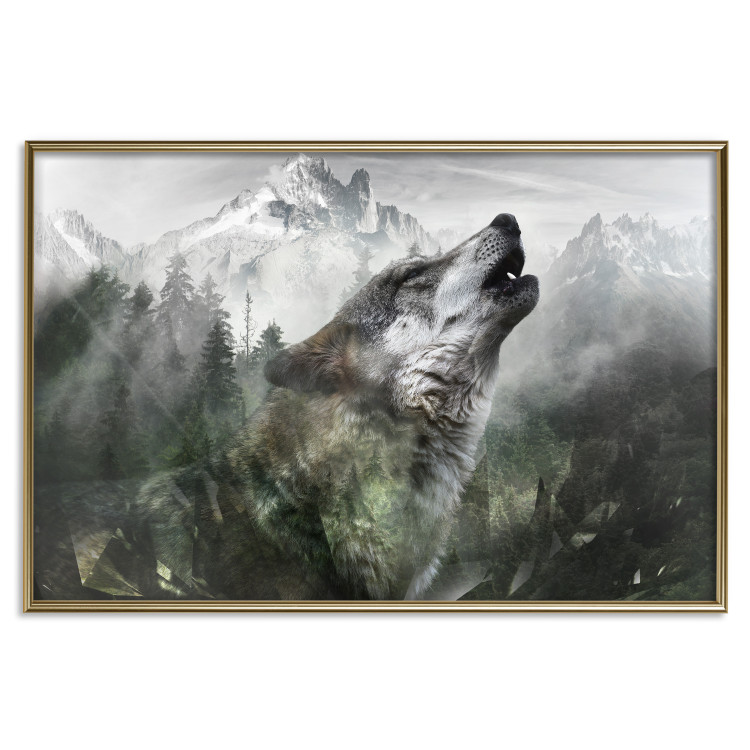 Poster Howling Wolf - wild animal against a forest landscape and high mountains 126023 additionalImage 19