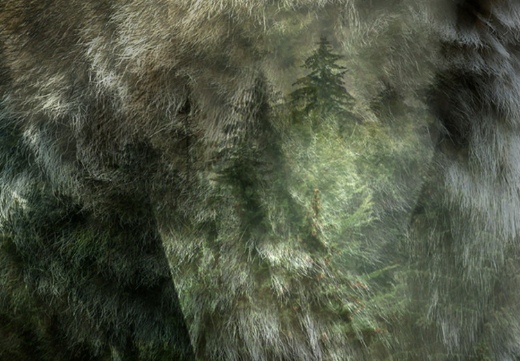 Poster Howling Wolf - wild animal against a forest landscape and high mountains 126023 additionalImage 8