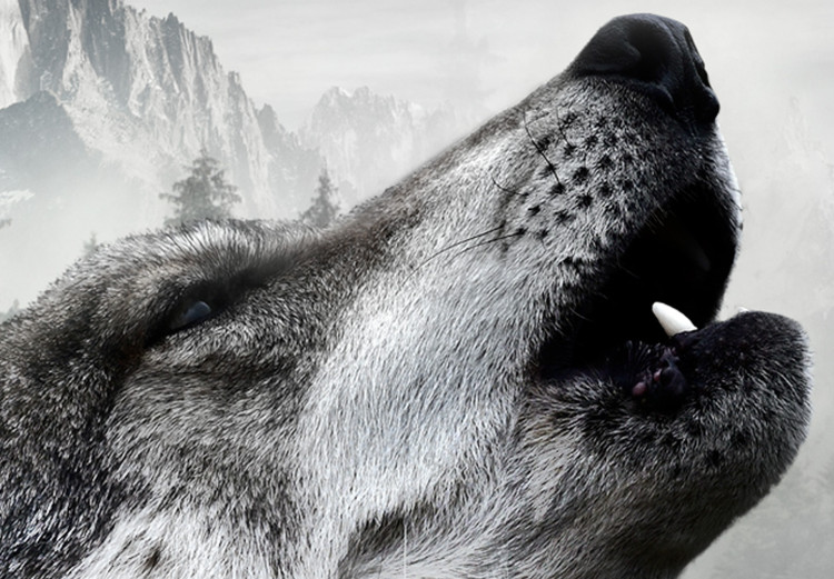 Poster Howling Wolf - wild animal against a forest landscape and high mountains 126023 additionalImage 9