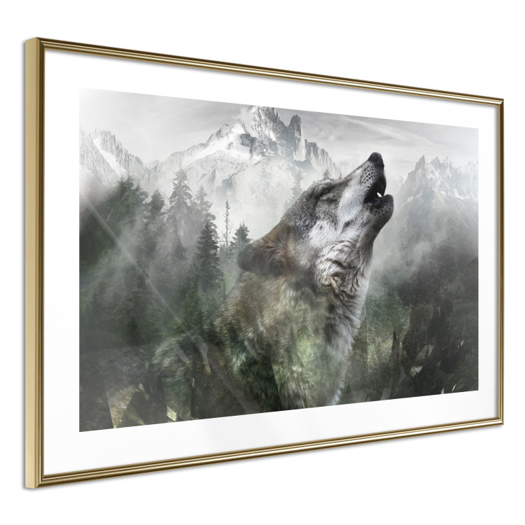 Poster Howling Wolf - wild animal against a forest landscape and high mountains 126023 additionalImage 8