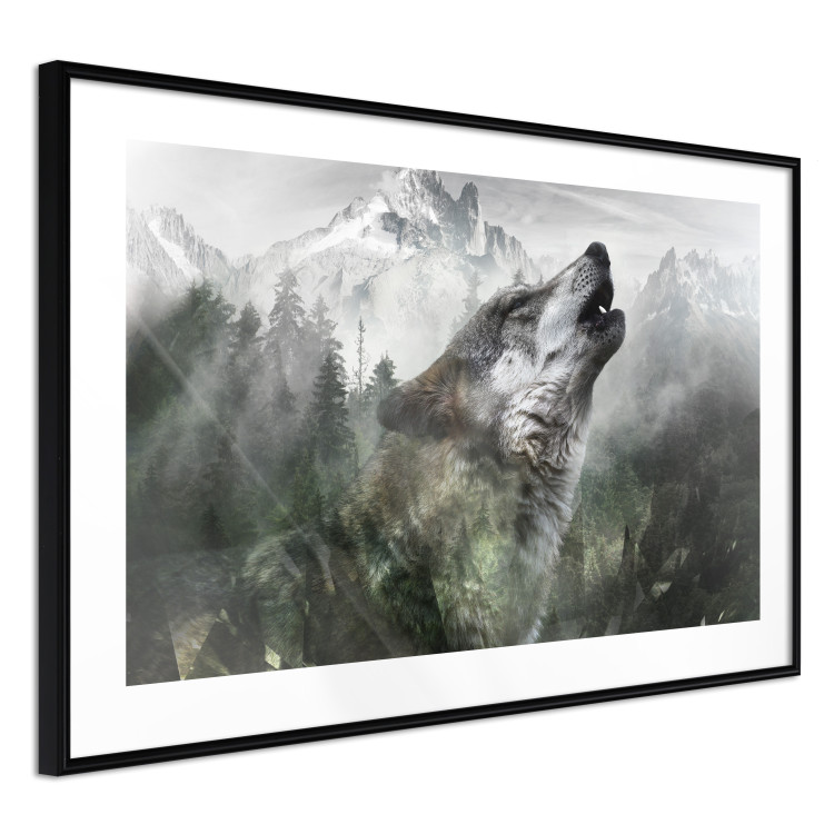 Poster Howling Wolf - wild animal against a forest landscape and high mountains 126023 additionalImage 11