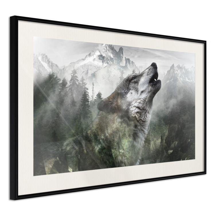 Poster Howling Wolf - wild animal against a forest landscape and high mountains 126023 additionalImage 3