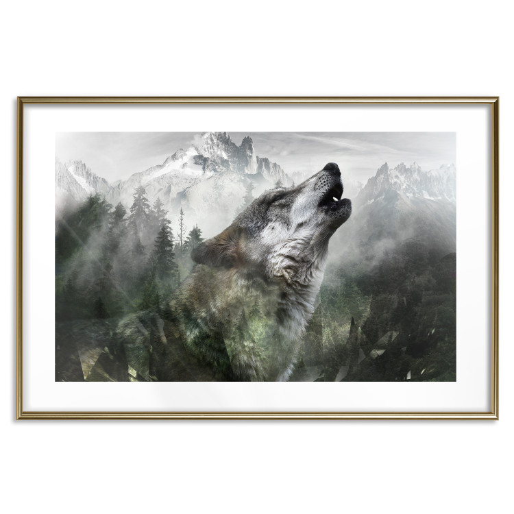 Poster Howling Wolf - wild animal against a forest landscape and high mountains 126023 additionalImage 27