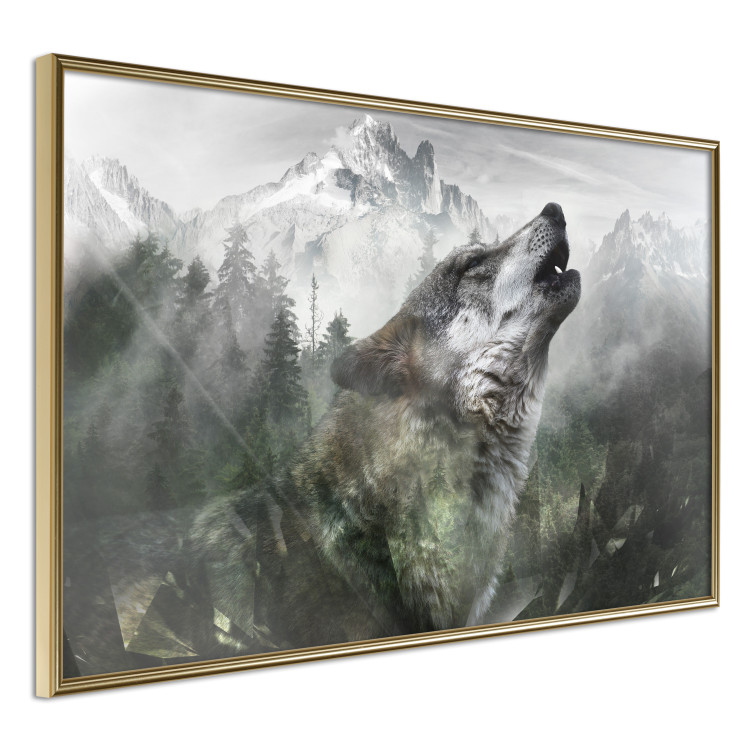 Poster Howling Wolf - wild animal against a forest landscape and high mountains 126023 additionalImage 14