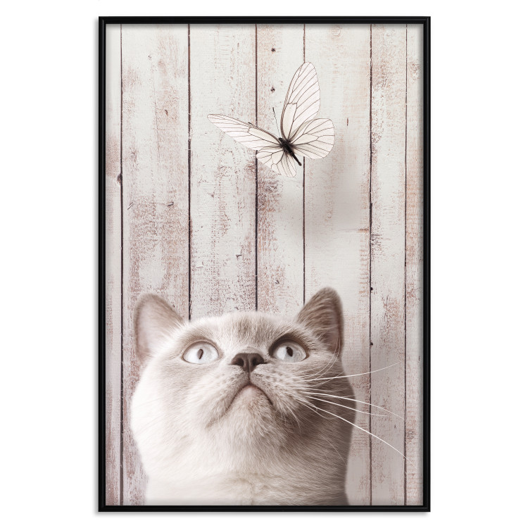 Poster Feline Nature - gray cat and flying butterfly on wooden planks 126223 additionalImage 18