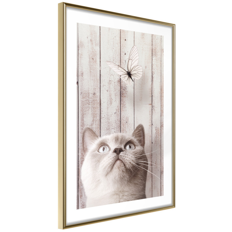 Poster Feline Nature - gray cat and flying butterfly on wooden planks 126223 additionalImage 8