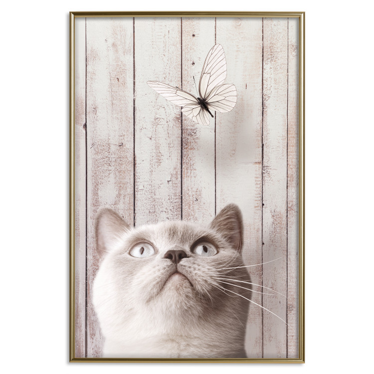 Poster Feline Nature - gray cat and flying butterfly on wooden planks 126223 additionalImage 16